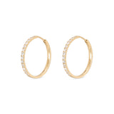 Ayla Diamond Pave Hoops - Yellow Gold