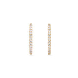 Ayla Diamond Pave Hoops - Yellow Gold